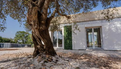 Chalet dimora tra gli ulivi - Foto 2