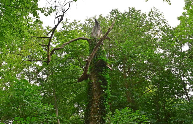 Alt Krassow Lakeside Retreat - Foto 36