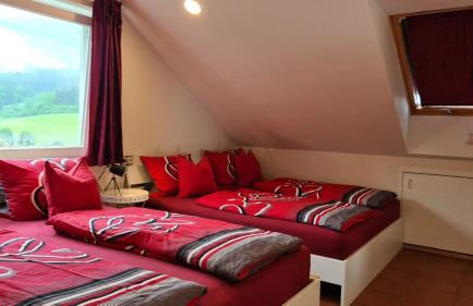 'Tor zum Schwarzwald' Ferienwohnungen mit Sauna - Foto 18