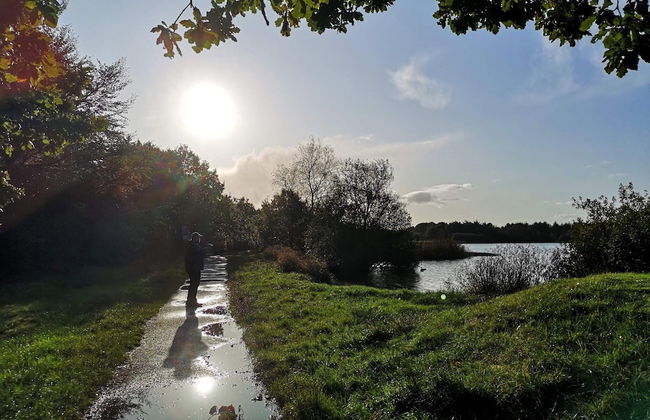 Rustic Holiday Home in Ansager near Water - Foto 7