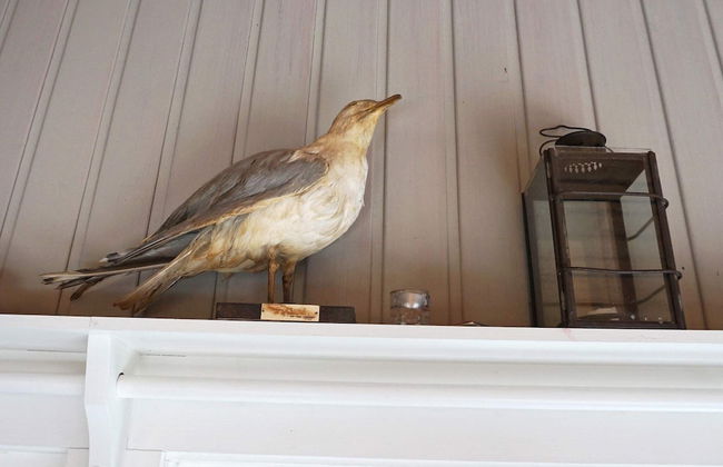 6 Person Holiday Home in Djurhamn-by Traum - Photo 18