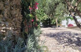 Villa Pero & Jele - Foto 10