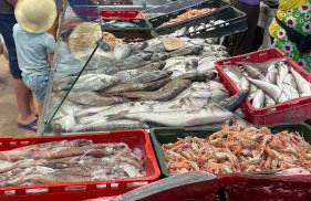 Serenity Countryside Mobile Houses - Photo 28