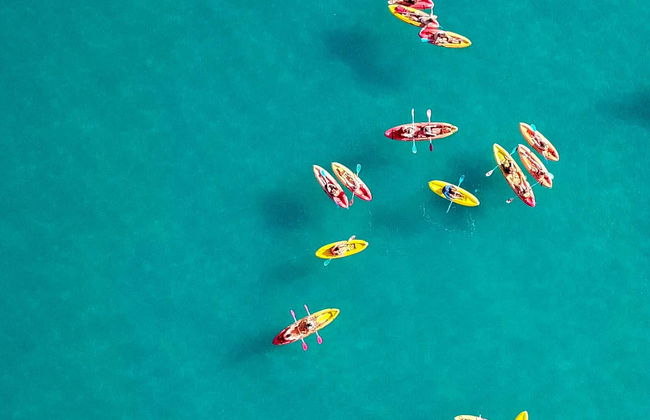 Dolphin View Kayak Tour - Foto 1