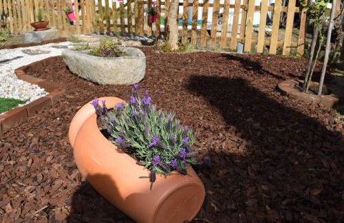 Casa do Avô Tó - Foto 33