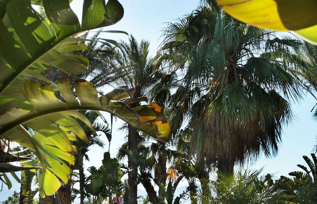 Il Baglio della Luna - Foto 27