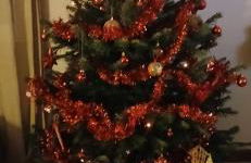 Au fil de l eau - Foto 19