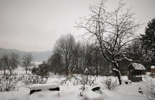 Tweet Apartments with Sauna and optional Breakfast Close To Terme Sveti Martin - Foto 9