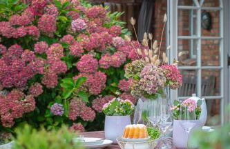 Watt Hüs Munkmarsch - Foto 60