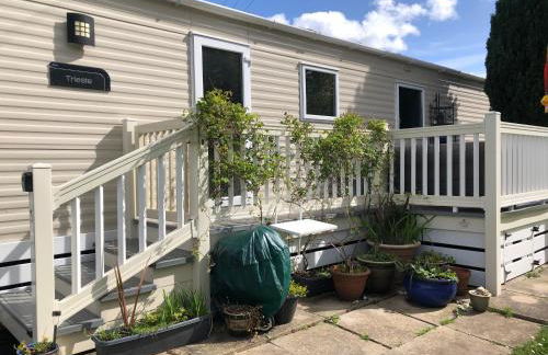 Pinto Holiday Home Oakdene Forest Park Passes Inc! - Foto 2