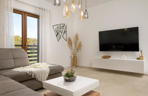 Villa Magnus Vareški by Istrialux - Foto 42