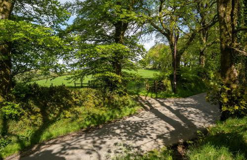 Dartmoor Inn - Foto 42