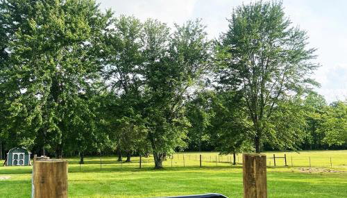 Horse Hideaway Fenced in back yard Dogs Welcome - Foto 4