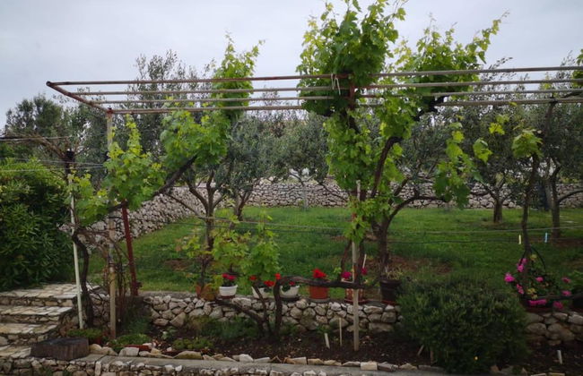 Apartments Tara - Foto 35