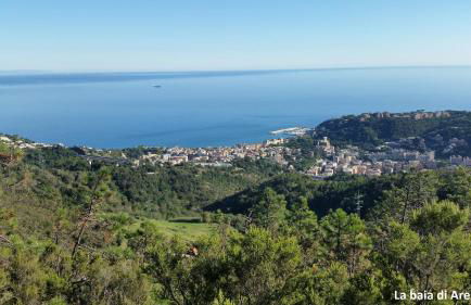 Dal Pescatore - Foto 35