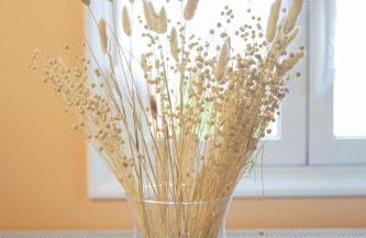 ΑΝeΜΙ - Photo 28