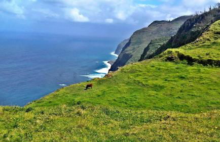 Madeira Sunset Cottage - Nature Retreat - Foto 72