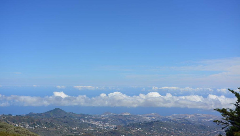 Cumbres de Gran Canaria y Roque Nublo - Tour de día entero - Foto 1