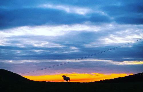 The Cheeseloft - Spacious one bed with terrace - Foto 25