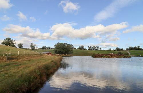 Gander Pod at Salford Court Farm Fishing Cabins - Foto 11