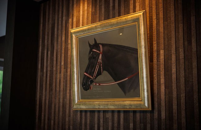 CONTRAIL【Ezo Fuji hoothills】 - Photo 54