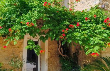 Domaine du grand platane - Foto 8