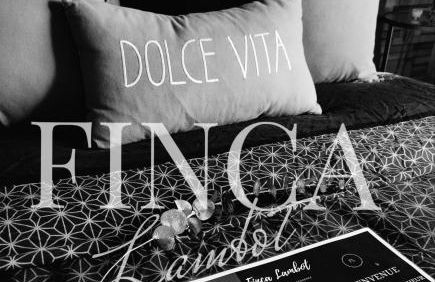 La Clef du Bonheur - 8 Min de Disney Jardin & Garage privatif - Foto 20