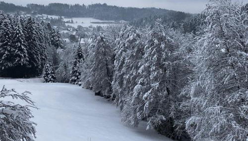 Ferienwohnung am Leinbach, nahe Freudenstadt - Foto 5
