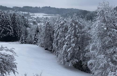 Ferienwohnung am Leinbach, nahe Freudenstadt - Photo 5