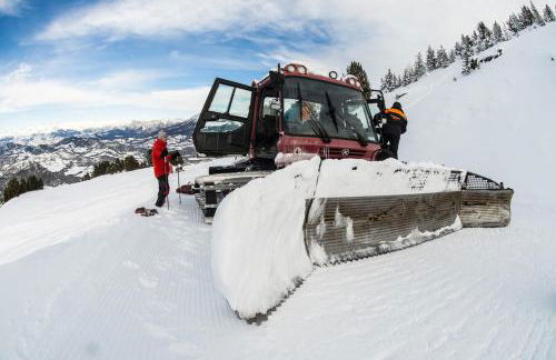 Les Alisiers - Foto 40