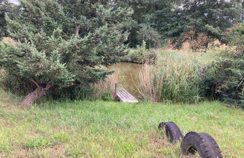 Domek Samice - Foto 64