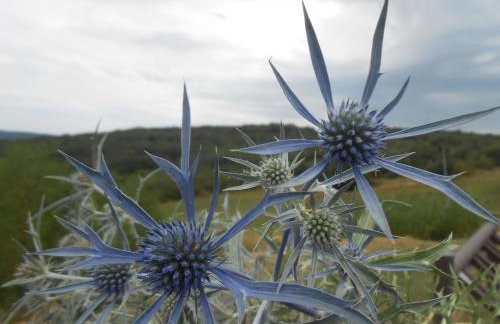 Casa Mandula - Foto 31