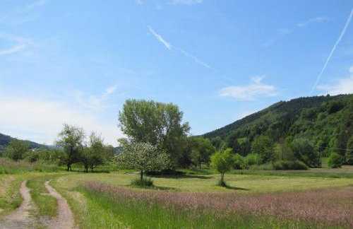 Alte Schmiede - Foto 15