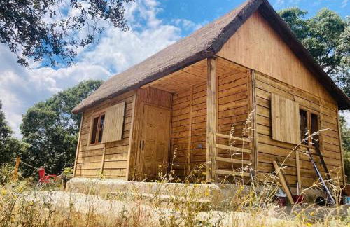 Hamlet's Friends - Foto 11