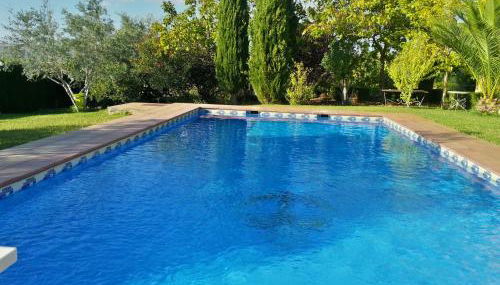 Andalusian experience - Foto 4