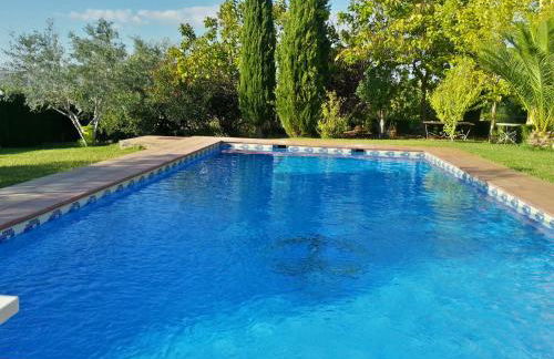 Andalusian experience - Foto 4