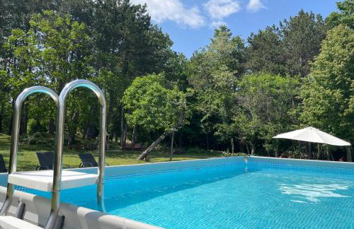 Apartment Benky Pican - Foto 25