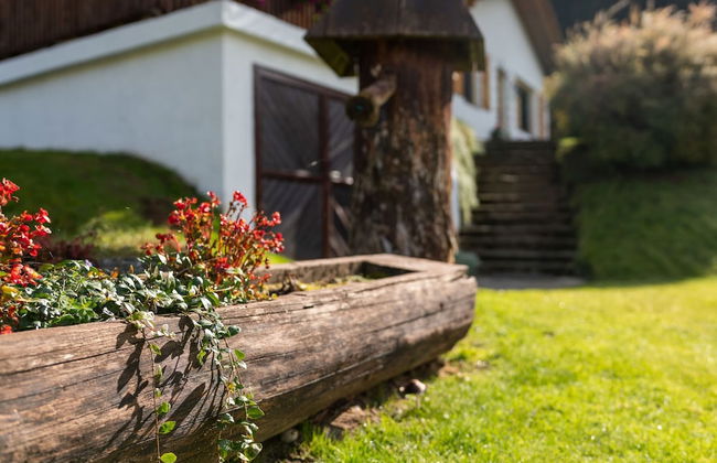 Alpine Hut in Eberstein Near Ski Area - Foto 34