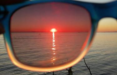 Annette's Home and Garden - Foto 37