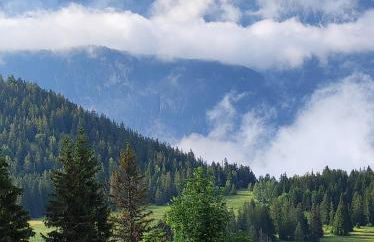 Les Arolles E23, classé 3 étoiles à Chamrousse 1700 - Foto 22
