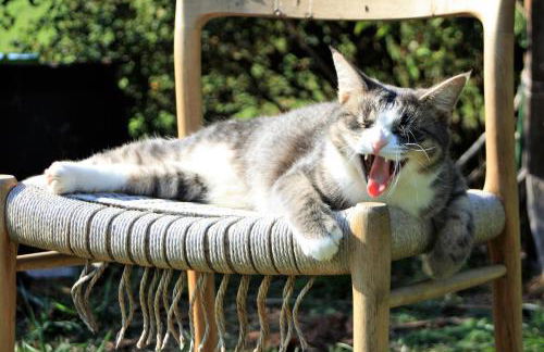 Ferienwohnung Riedblick-Süd-West - Photo 12