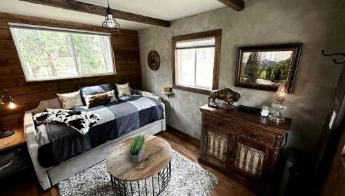 Quaint Rustic Cabin Surrounded by Nature in Black Forest, Colorado - Foto 4