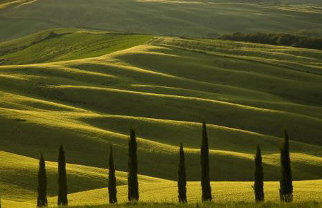 Agriturismo Mocine - Foto 55