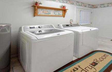 Bear Splashin Fun - Photo 19