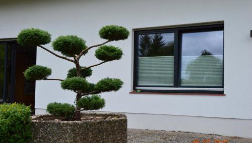 Sailhouse Edersee - Foto 5