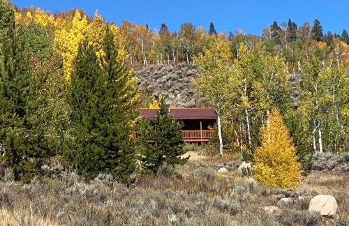 Whistle Pig Retreat at 22 West Cabins and Recreation - Foto 1