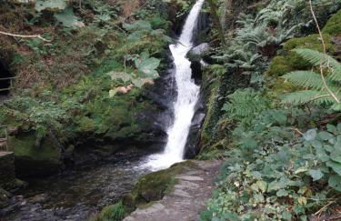 Glan Y Morfa Bach The Stone Cottage - Foto 21