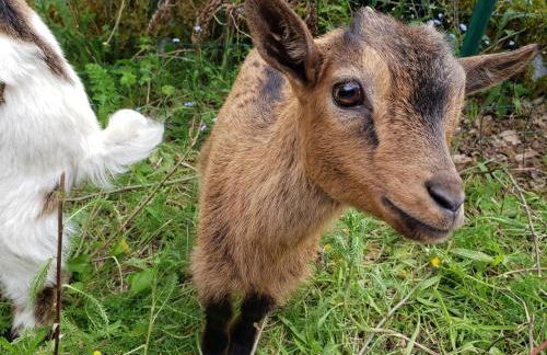 Loft Apartment at Moulin SAGE - Foto 24