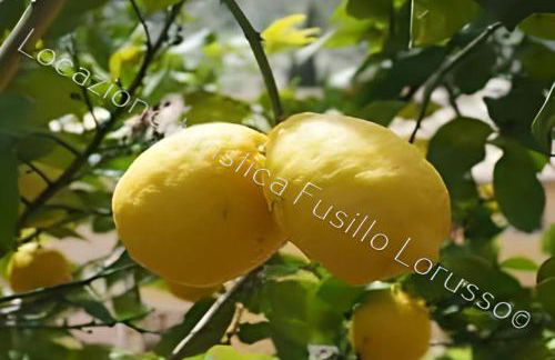 Locazione Turistica Fusillo Lorusso con parcheggio privato in loco - Foto 1