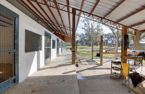 Morriston Studio 13 Mi to World Equestrian Center - Foto 12